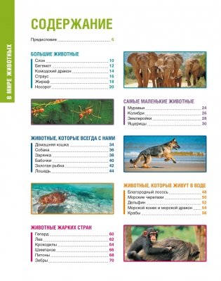 В мире животных. Энциклопедия фото книги 8