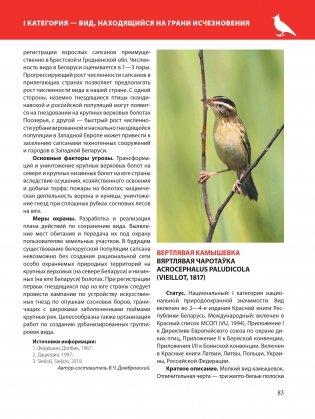 Красная книга Республики Беларусь. Животные фото книги 8