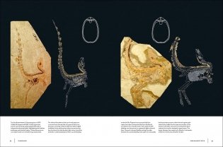 Dinosaurs фото книги 9