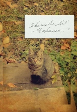 Из прошлого… фото книги