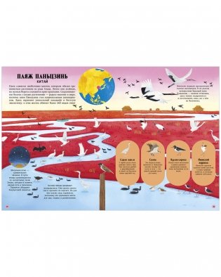 Большая энциклопедия CLEVER. Удивительные животные и где они обитают фото книги 4