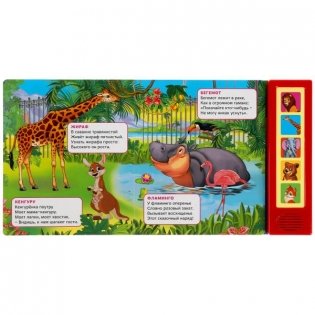 Зоопарк. 5 кнопок, 10 песен фото книги 3