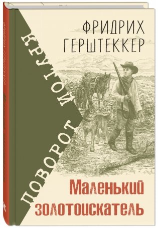 Маленький золотоискатель фото книги