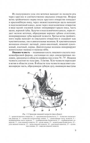 Травмы и восстановительная хирургия челюстно-лицевой области фото книги 10