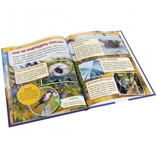 Птицы фото книги 3