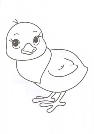 Раскраска. Для самых маленьких фото книги 4