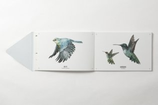 Tatouage. Wild. 108 Temporary Tattoos of Wild Animals and 21 Art-Print Keepsakes фото книги 5