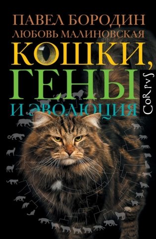 Кошки, гены и эволюция фото книги