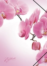 Папка на резинках "Romantique", А4 фото книги 2