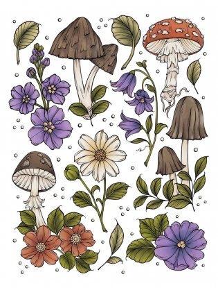 Creative Haven the Art of Mushrooms Coloring Book фото книги 2
