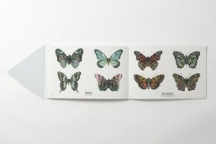 Tatouage. Wild. 108 Temporary Tattoos of Wild Animals and 21 Art-Print Keepsakes фото книги 7