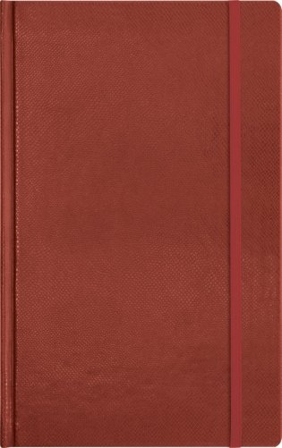 Записная книга, на резинке "Salamandra", коричневая фото книги