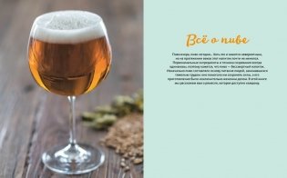 Изысканная коллекция. Путеводители по миру виски, пива и вина. Комплект из 3-х книг в коробе (Love&Whiskey, Wine Folly, Beer Expert) фото книги 9