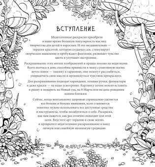 Веселые лисята. Рисунки для медитаций фото книги 3