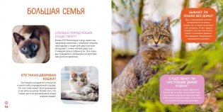 Моя первая книга о животных. 200 фотографий фото книги 8