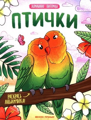 Птички: книжка-раскраска фото книги