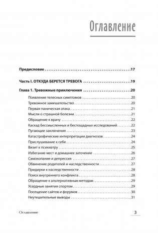 Без паники! Как научиться жить спокойно и уверенно фото книги 3