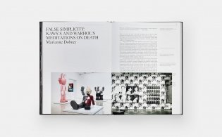 Kaws + Warhol фото книги 7