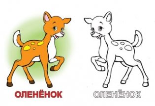 Раскраска. Звери фото книги 2