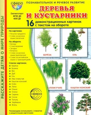 Деревья и кустарники. 16 демонстрационных картинок с текстом на обороте фото книги