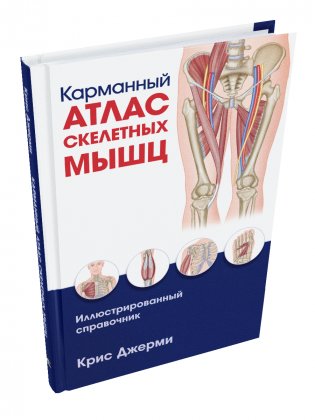 Карманный атлас скелетных мышц. Иллюстрированный справочник фото книги
