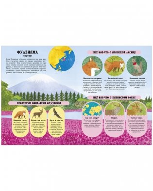 Большая энциклопедия CLEVER. Удивительные животные и где они обитают фото книги 2