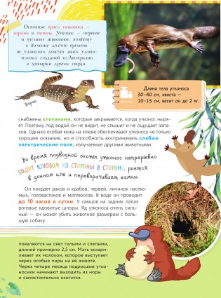 Красная книга для малышей фото книги 8