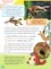 Красная книга для малышей фото книги маленькое 9