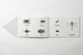 Tatouage. Wild. 108 Temporary Tattoos of Wild Animals and 21 Art-Print Keepsakes фото книги 4