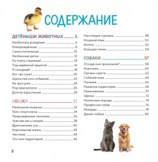 Моя первая книга о животных. 200 фотографий фото книги 2
