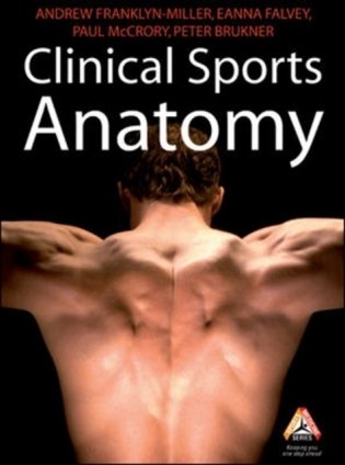 Clinical sports anatomy фото книги