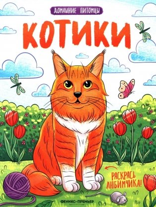 Котики: книжка-раскраска фото книги