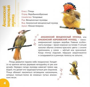 Экзотические птицы. Серия "Планета животных" фото книги 4
