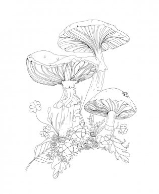 Woodland Wonderland : A Tranquil Coloring Retreat – A Calming Coloring Book of Flowers and Forest Animals for Adults фото книги 3