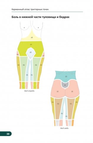 Карманный атлас триггерных точек. Иллюстрированное руководство по анатомии мышц, зонам боли и миофасциальным меридианам фото книги 8