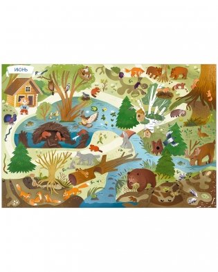 Виммельбух. Круглый год. Год в лесу фото книги 5