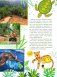 Красная книга для малышей фото книги маленькое 6