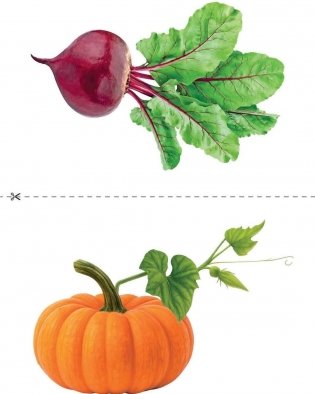 Путешествие в мир правильной речи. Шаг за шагом. Учебное наглядное пособие. ГРИФ фото книги 5