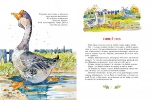 Смешные рассказы для детей. Все приключения в одном томе с цветными иллюстрациями фото книги 6