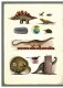 Динозавры. Моя первая книга фото книги маленькое 4