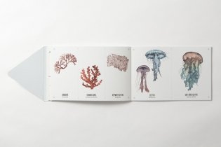 Tatouage. Wild. 108 Temporary Tattoos of Wild Animals and 21 Art-Print Keepsakes фото книги 3