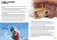 LEGO NINJAGO: Empire Warrior (with Dragon Hunter minifigure and Speeder mini-book) фото книги маленькое 6
