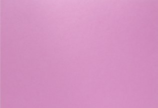 Планшет для пастелей "Фуксия. Цветы", А3, 20 листов фото книги 2