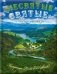 Несвятые святые и другие рассказы. 6-е изд фото книги маленькое 2