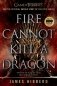 Fire Cannot Kill A Dragon фото книги маленькое 2