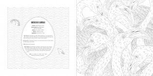 Animals Coloring Book Box Set фото книги 9