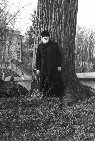 Радовать и радоваться. Практические советы архимандрита Иоанна (Крестьянкина). 7-е изд фото книги