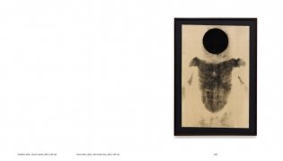 Antonio Oba фото книги 7