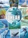 Океан. Серия «99 захватывающих фактов» фото книги маленькое 2