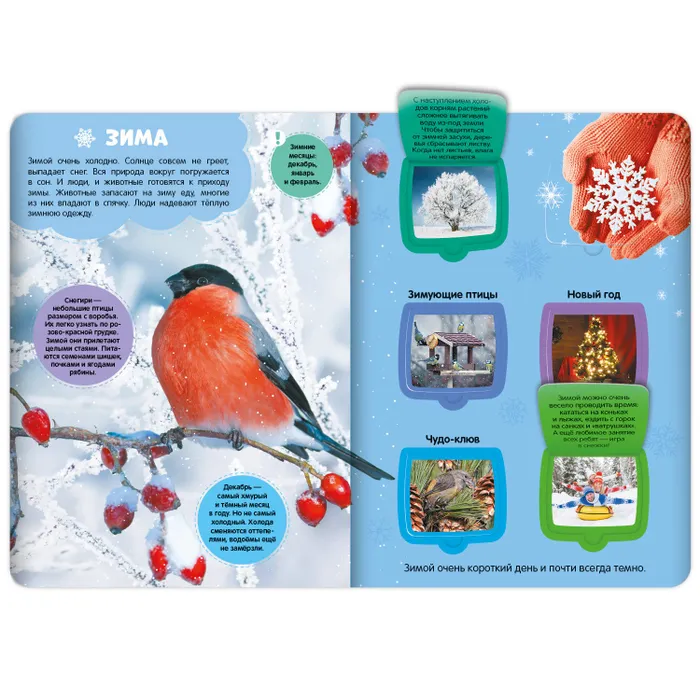 Времена года фото книги маленькое 3